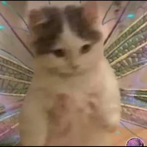 Meet your Posher, Zara